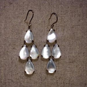 Stella & Dot Botanical 2 in 1 earrings